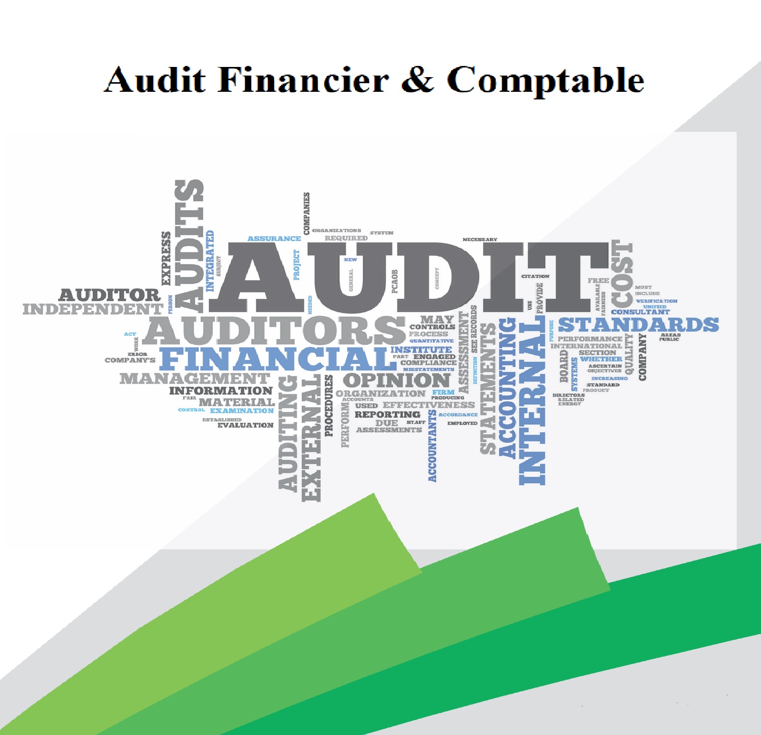 AUDIT